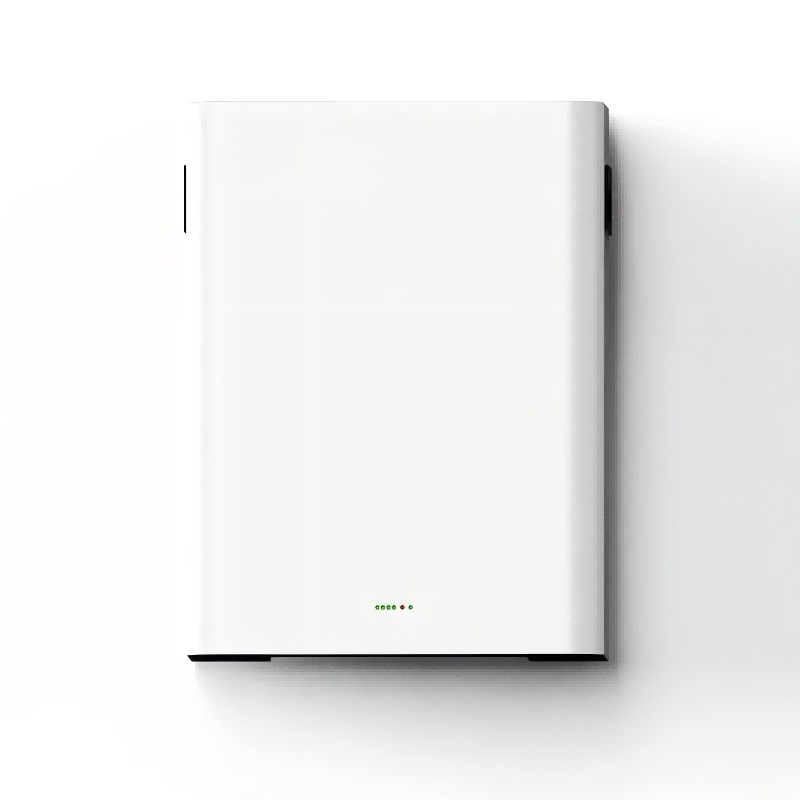 Wall Mounted Battery