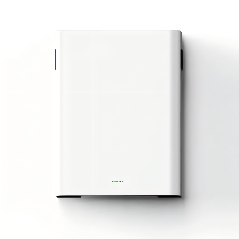 Wall Mounted Battery